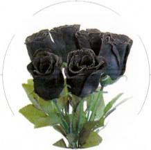 black roses