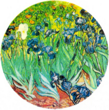 Irises  1889 by Vincent Van Gogh