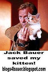 Jack Bauer rescuing a kitty cat
