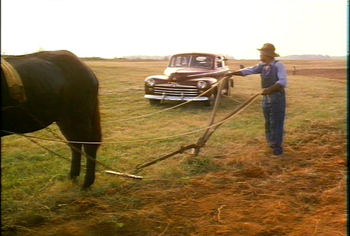 plowing the field