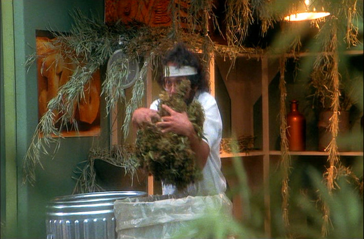 Tommy Chong loading a big sack of weed