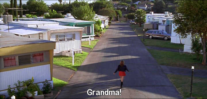 grandma's trailer park
