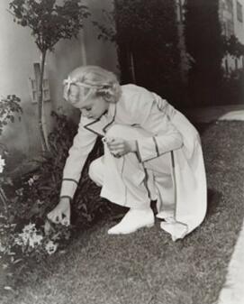 Jean Harlow picking a flower