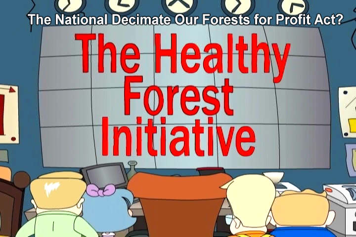 healthy forest