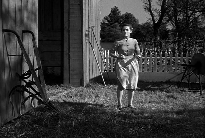 Ruby coming out of the barn with her eggs