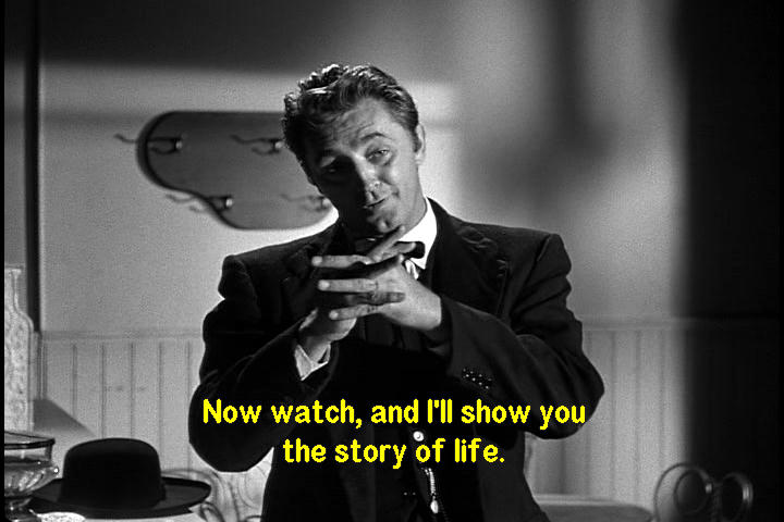 the story of life