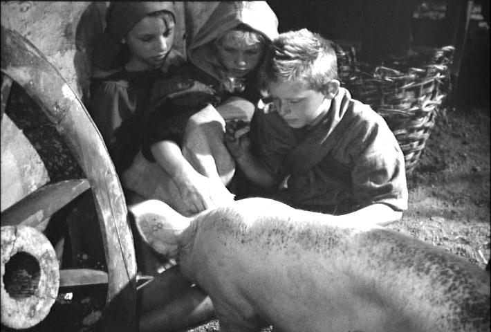 children playing with a pig