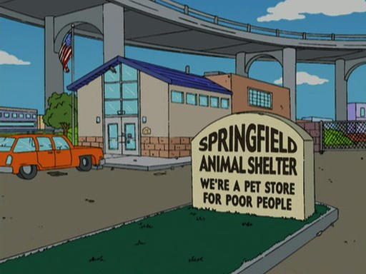 Animal Shelter