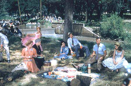 picnic picture