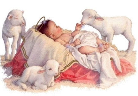 baby Jesus and lambs
