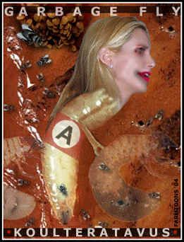 evil ann coulter