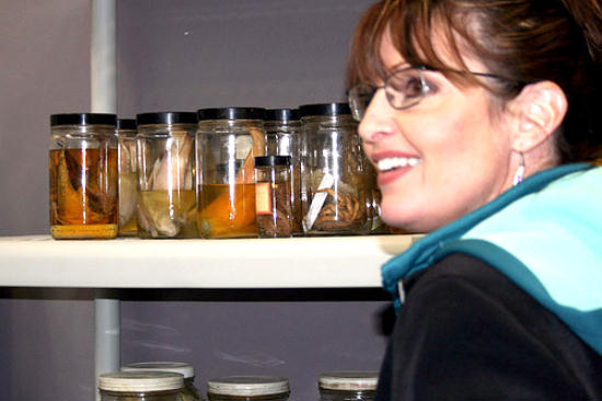 Governor Palin with lab specimens