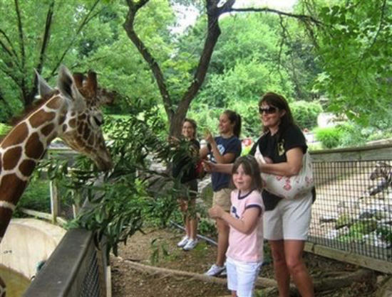 Sarah Palin and fam with giraffe at the Philadelphia Zoo, July 2008