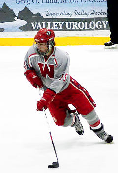 Levi Johnston, Bristol Palin's babydaddy