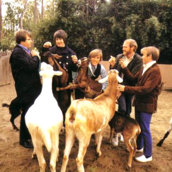 Brian Wilson and his Beach Boys like goats
