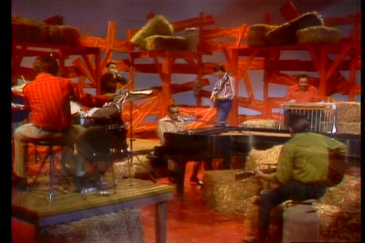 Ray Charles on Hee Haw