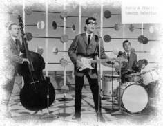 Buddy Holly and the Crickets live