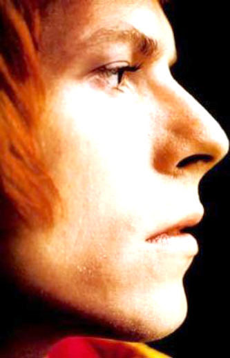 David Bowie's nose