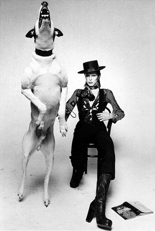 David Bowie and Fido