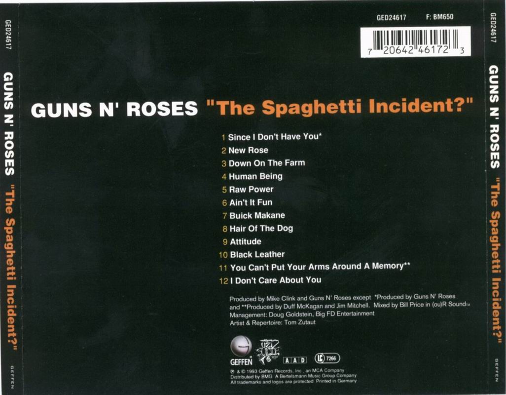 Guns n Roses The Spaghetti Incident?