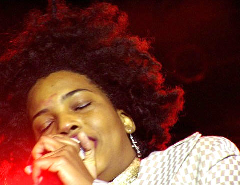 Macy Gray is a red light district