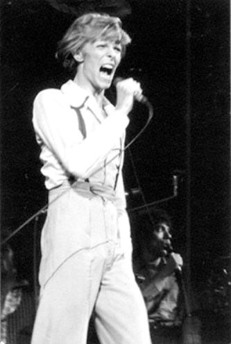 the thin white duke on stage