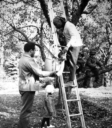 Nina Simone climbing a ladder