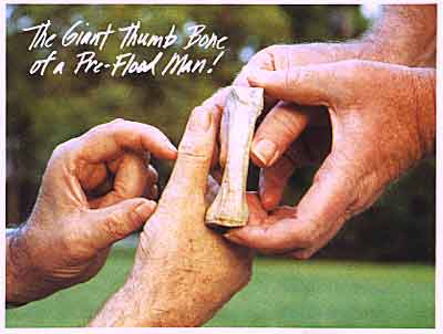 thumb bone of a giant