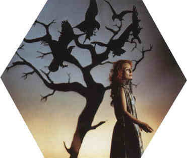 Tori Amos is for the birds