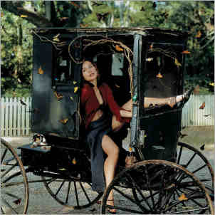 Tori Amos in a carriage