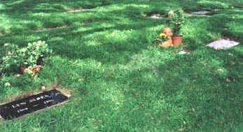 Frank Zappa's grave