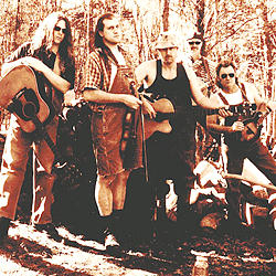 Hayseed Dixie image