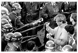 hippies putting flowers in guns